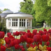 Kurpark an der Wandelhalle in Bad Liebenstein