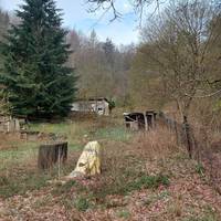 Gartengrundstück Möllersgrund 2024