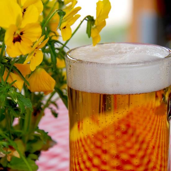 https://www.badsalzungen.de/var/cache/thumb_111679_1066_1_550_550_r4_jpeg_bier.jpeg