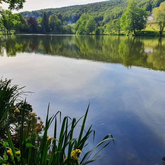 https://www.badsalzungen.de/var/cache/thumb_112266_1066_1_550_550_r4_jpeg_4_frauensee_mai_2020,_bildrechte_kathleen_hess.jpeg