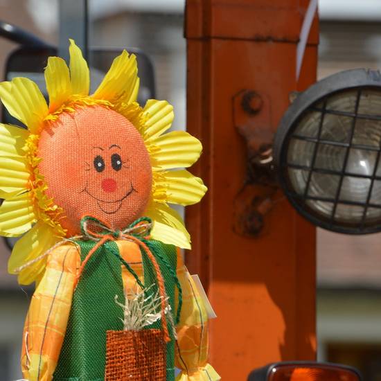 https://www.badsalzungen.de/var/cache/thumb_114256_1066_1_550_550_r4_jpeg_decoration_3528335_1280.jpeg