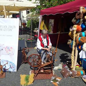Wollespinnen mit Barbara Muth