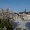 Gradiergarten im Winter