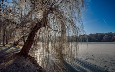 burgsee_winterstimmung.jpeg ( © Sperber Druck)